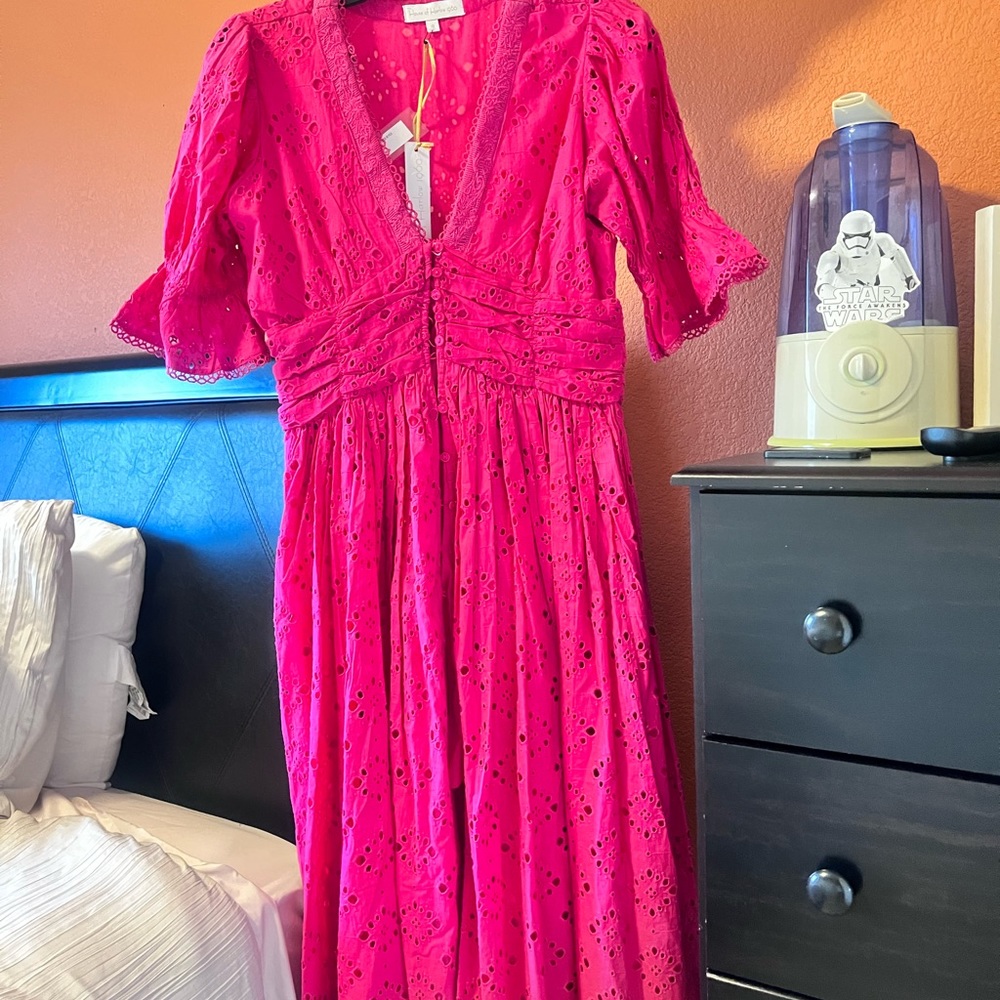 HOUSE OF HARLOW 1960 Dress PINK EYELET Lace Midi Dress Button up Size: Small NWT